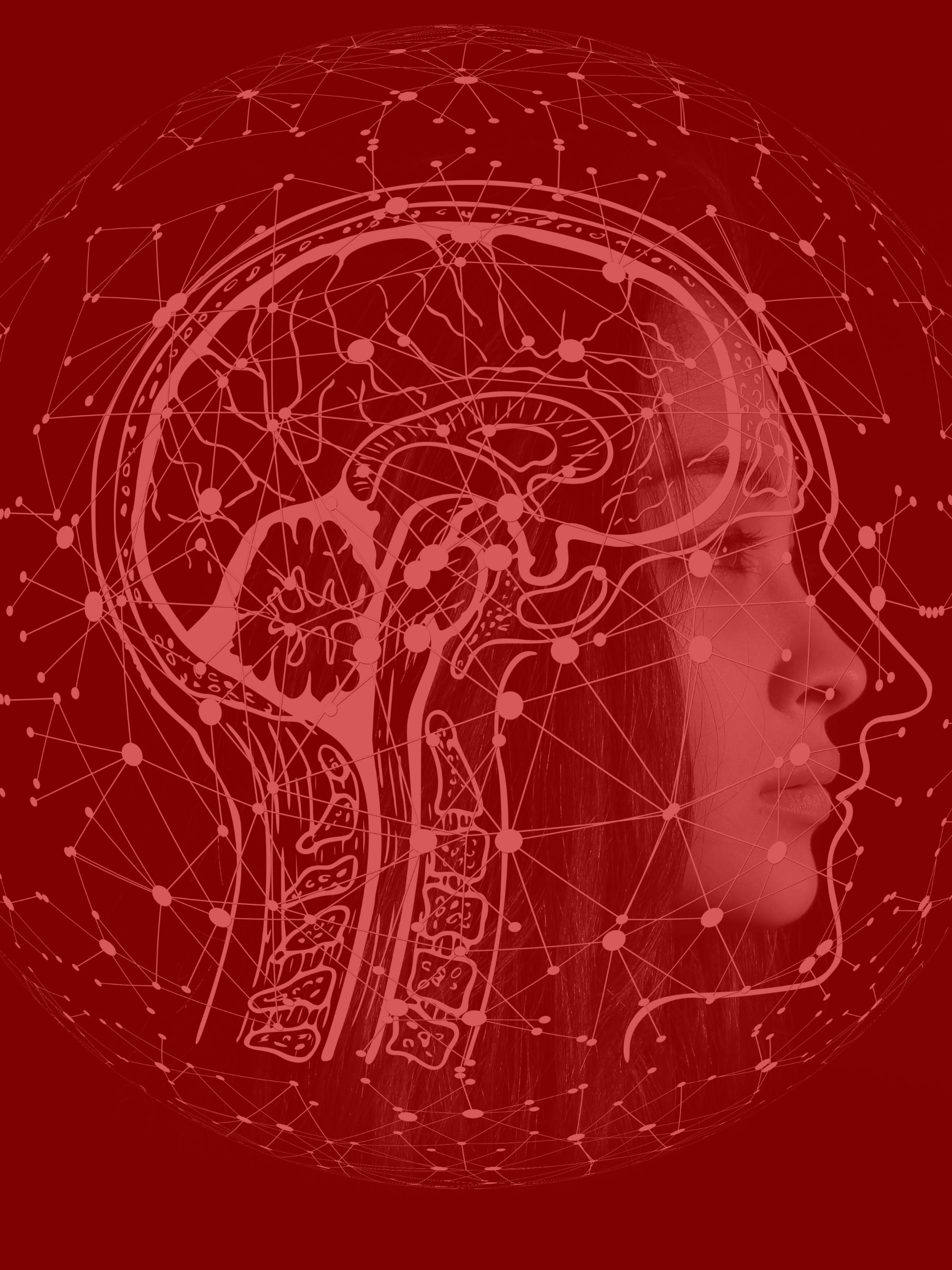 Profilansicht eines nachdenklich-entschlossenen Gesichts, überlagert von einer schematischen Darstellung des menschlichen Gehirns und neuronalen Netzwerken. Symbolisiert die Verbindung von Wissenschaft, Wirtschaft, innerer Klarheit und mentaler Stärke.