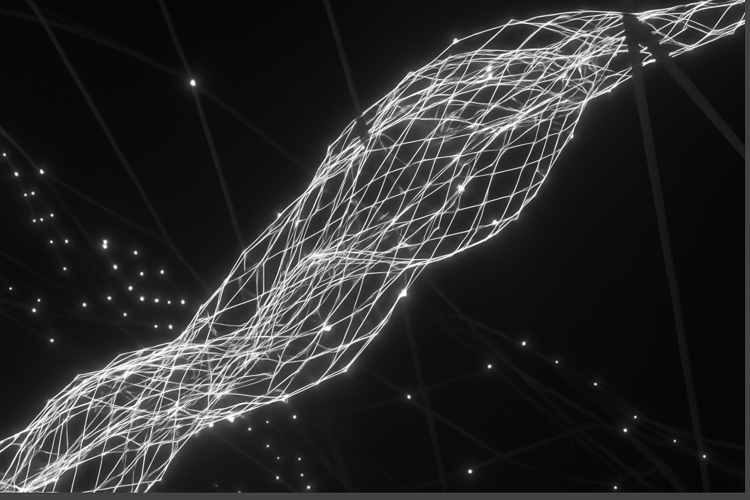 Schwarz-weiß-Darstellung eines Netzwerks aus leuchtenden Linien und Knotenpunkten.Das Bild symbolisiert neuronale Verbindungen, Energiefluss und innere Ordnung – als visuelle Metapher für Leadership, Systemdenken und Regulation.